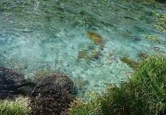 ここ最近のニュースで思う事。