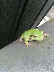 すごく好きな人とはHできない？(何見とんねん！！！)