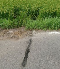 GoToトラブル(その後)