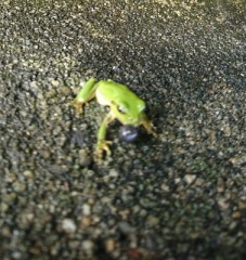 親しき仲にも礼儀あり