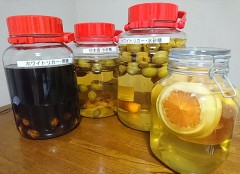 今年の梅酒 vol.3