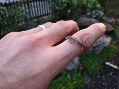 どこで出会った？