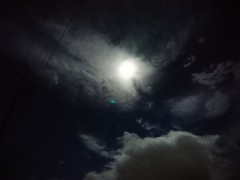 緊縛の経験ある？
