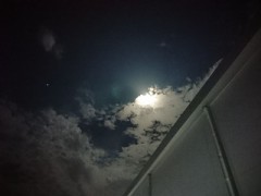 中秋の名月(あえてコレ？)