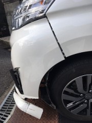 衝撃の報告(￣□||||！！
