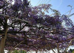 記憶がなくなるまで飲んでしまった事