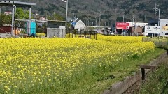 去年の今頃も(笑)