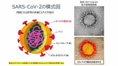 【お題日記】今年のうちに終わらせておきたいこと
