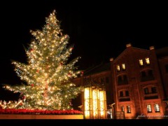 【お題日記】告白は何回目がいいと思う？