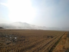 【お題日記】無くしてショックだったもの