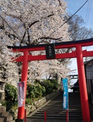 【お題日記】世の中に一言物申す！