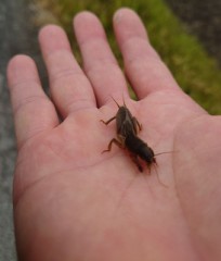 【お題日記】記念日に行ってみたいところ