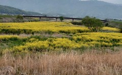 【お題日記】おすすめの長編ドラマ