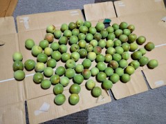 【お題日記】好きな食パンの厚さは何枚切り？