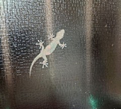 【お題日記】駅の入場券買ったことある？