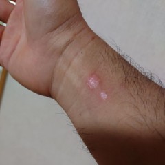 リアルタイムで(；´∀｀)