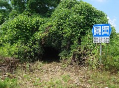 【お題日記】令和4年、今年の七夕は何を願う？