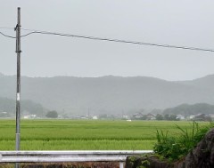 【お題日記】こんなのカラダに塗ってみました