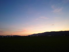 【お題日記】好きな人へのアピール