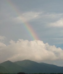 【お題日記】宅配サービス使ってる？