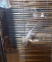 【お題日記】発明してほしい玩具