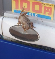 【お題日記】想像だけでイケる？