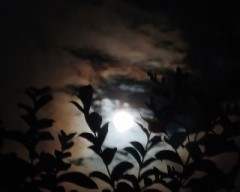 【お題日記】特技教えて