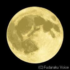 【お題日記】目に見えないものって信じる？