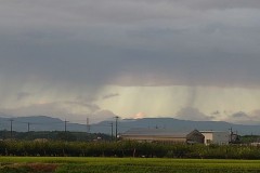 【お題日記】イラっとするSNS投稿