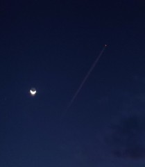 【お題日記】それはセクハラじゃない？と思うこと