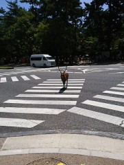 【お題日記】貰って困ったHなもの