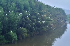 【お題日記】遠慮してほしい行為