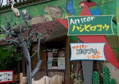 【お題日記】お風呂ではどこから洗う？