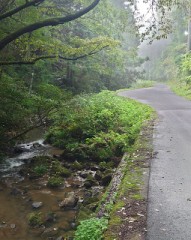 【お題日記】口に発射はアリ？