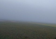 【お題日記】もしもMEGA BIGが当たったら？