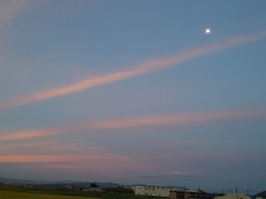 【お題日記】健康のためにしてること