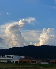 【お題日記】それはアダルトビデオだけでしょ！と思うこと