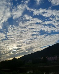 【お題日記】好きなものでベスト3作ってみて