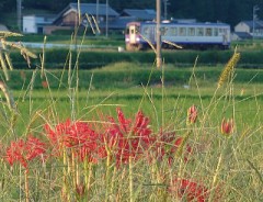 【お題日記】今季おすすめの映画