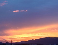 【お題日記】今年の夏恋は継続出来てる？