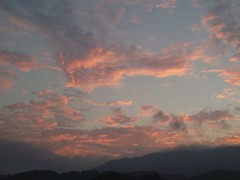 【お題日記】秋になるとする事