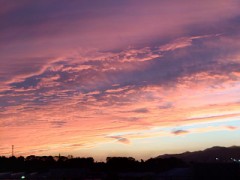 【お題日記】心に残ってる絵本