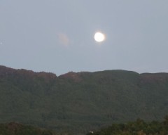 【お題日記】Hで克服できたことある？