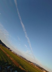 【お題日記】ご近所と挨拶してる？