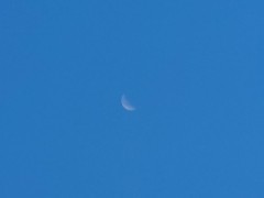 【お題日記】気持ちの切替早い方？