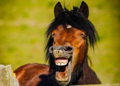 【お題日記】メール誤送信やSNS誤投稿の経験