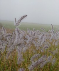 【お題日記】ゴルフしたことある？