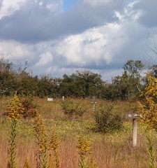 【お題日記】着なくなった服は捨てられる？