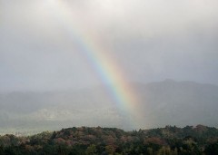 【お題日記】H中気を付けてること