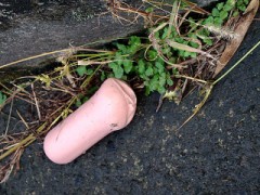 【お題日記】セフレは遠距離でもOK？